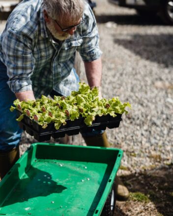 Developing a love of gardening can add to positive mental health.