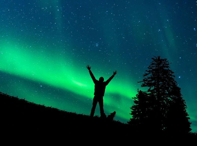 The northern lights forecast is popping, with predictions of higher than normal activity.