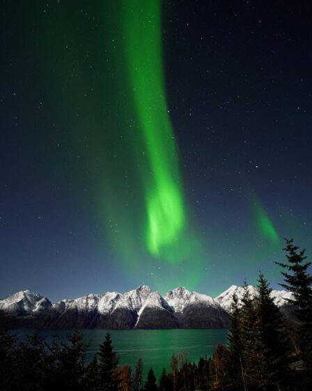 The northern lights forecast is saying to prepare for an epic light show until at least fall 2024.