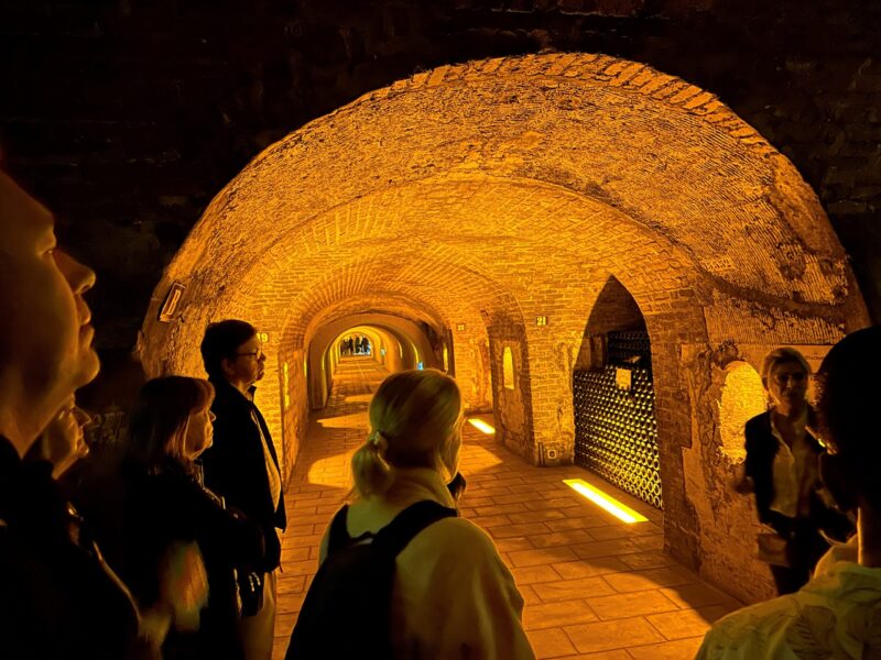 Mobility challenges are everywhere, such as navigating your way through champagne cellars and wine caves.
